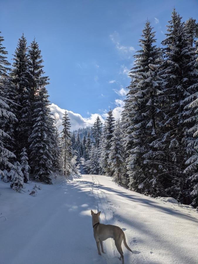 Gartenglueck *