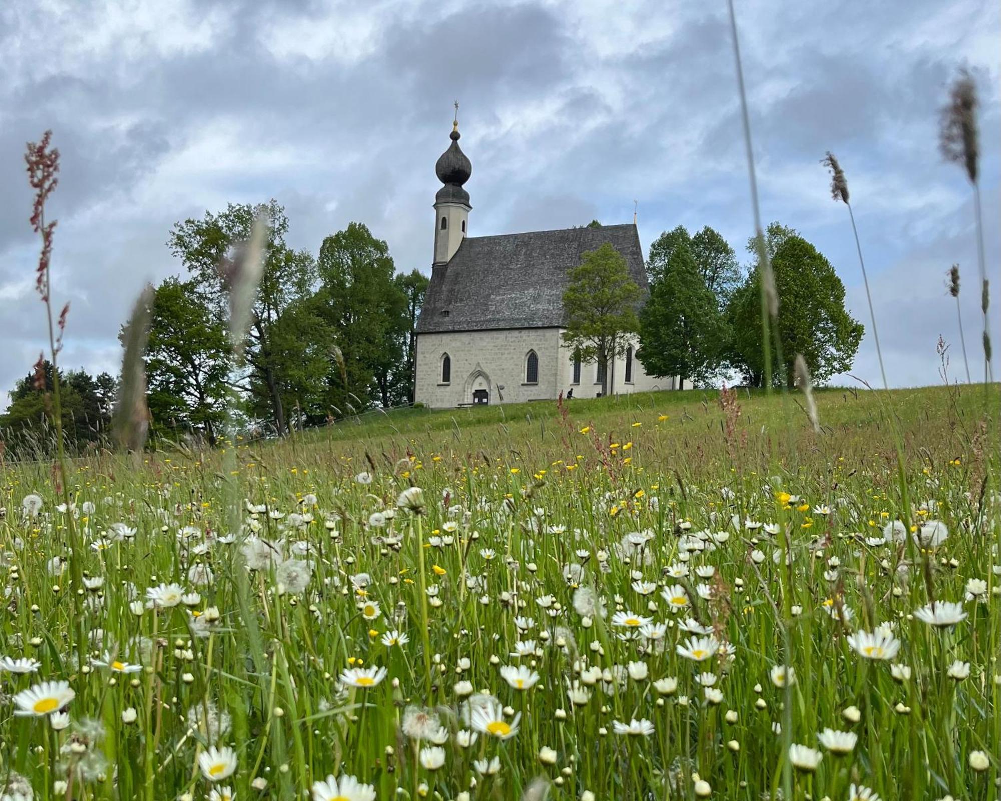 Gartenglueck Traunstein